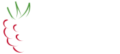 Raspberry Software Ltd